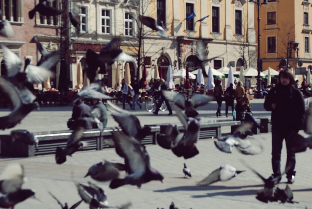 http://akacja.wzks.uj.edu.pl/~09_walczak/lajkonik/wp-content/uploads/2014/05/DSC_0380.jpg