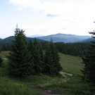 widok z Turbacza