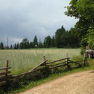 Studzionki przed burzą