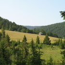 Widok na chatkę