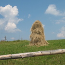 Kopek
