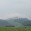 Widok na zalew Czorsztyński